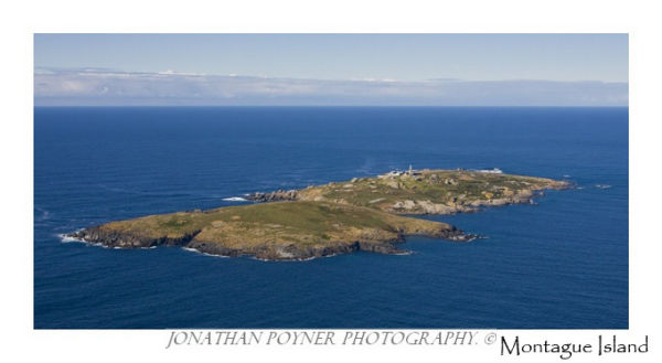 Montague Island, #2